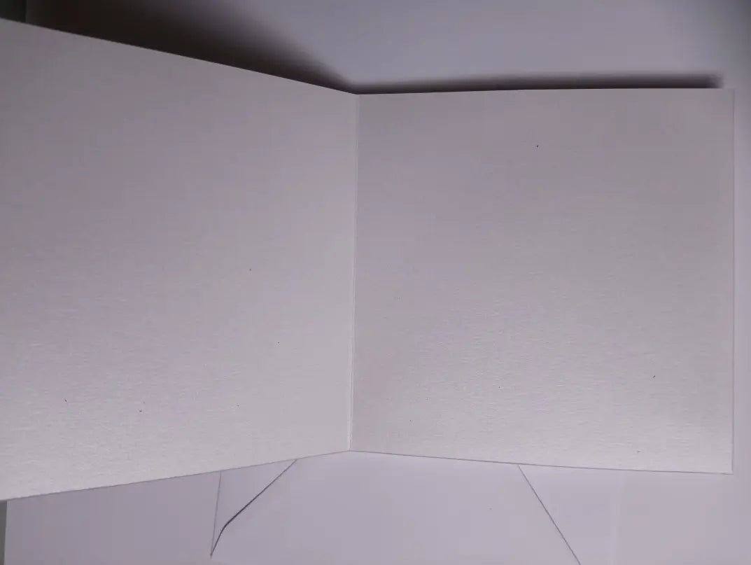 carte de Saint Valentin à secouer