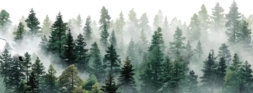 illustration nouvel collection carte de voeux pour l'année 2026 - L'Atelier de Lili la souris